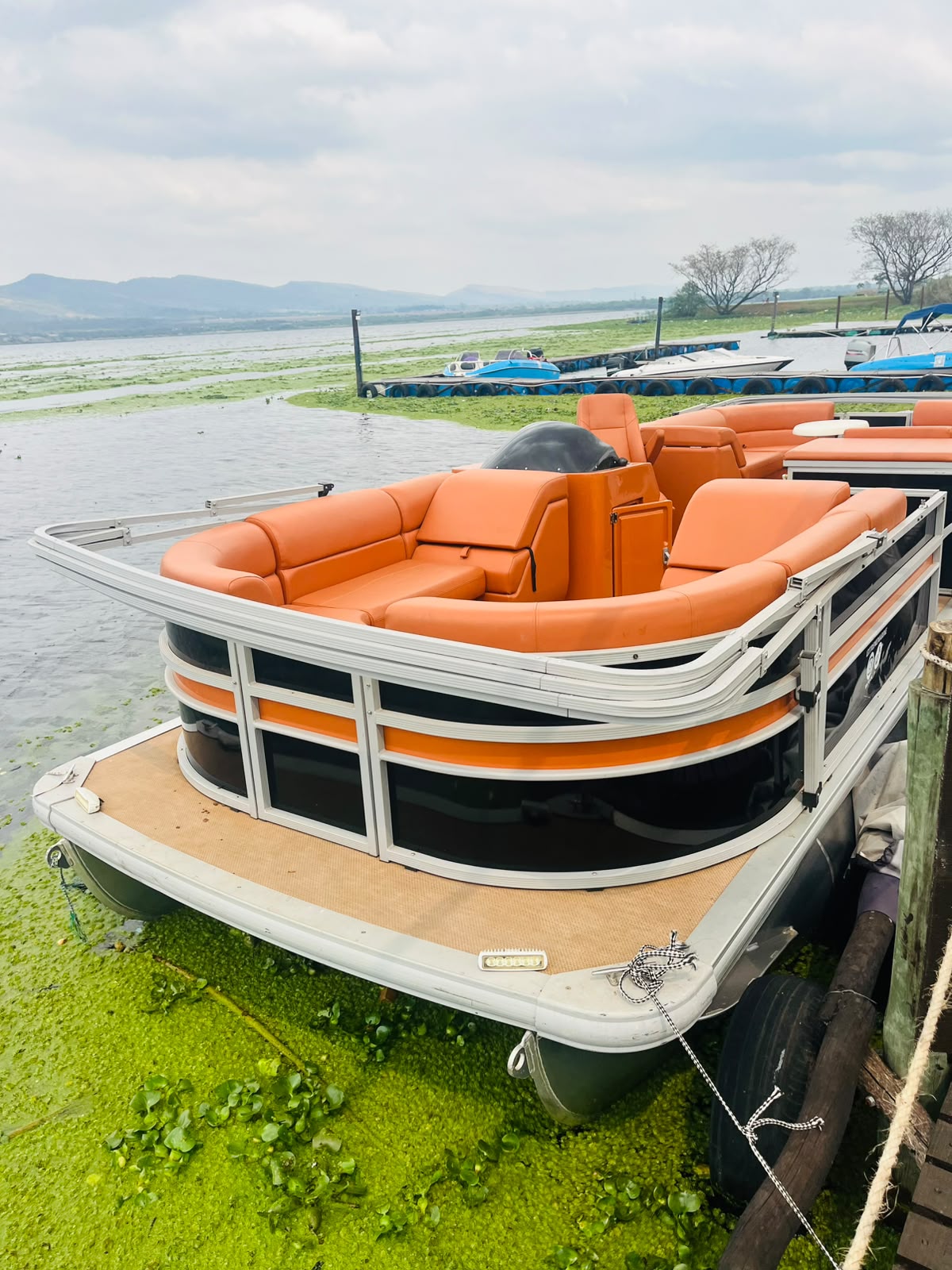 Rear deck detail